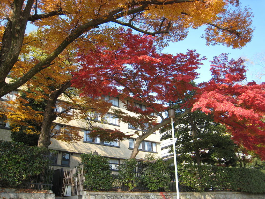 Hotel Kkr Kyoto Kuniso Exterior foto